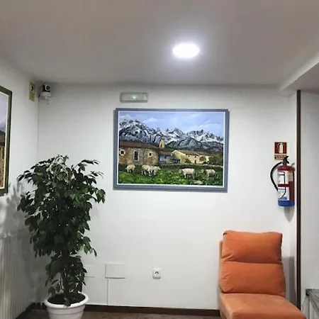 Salldemar 2*